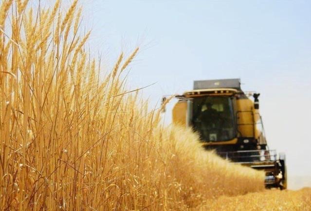 TÜİK: Tarımsal girdi fiyat endeksi yıllık yüzde 134,76 arttı