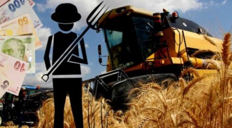 Çetin Ünsalan Yazdı: 'Enflasyon için tarım hamlesi şart...'